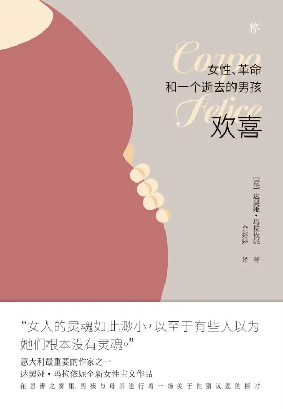 欢喜：女性、革命和一个逝去的男孩 [小说文学]-淘客掘金网