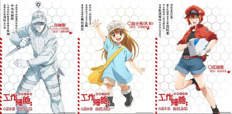 工作细胞 2季全 1080P + BLACK +剧场 中字外挂字幕 - 淘客掘金网-淘客掘金网