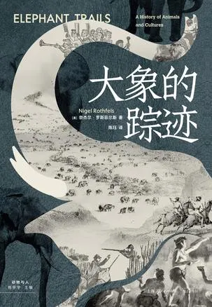 大象的踪迹 [人文社科]-淘客掘金网